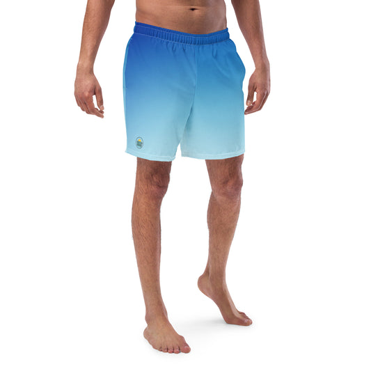 Blue Gradient Men's swim trunks